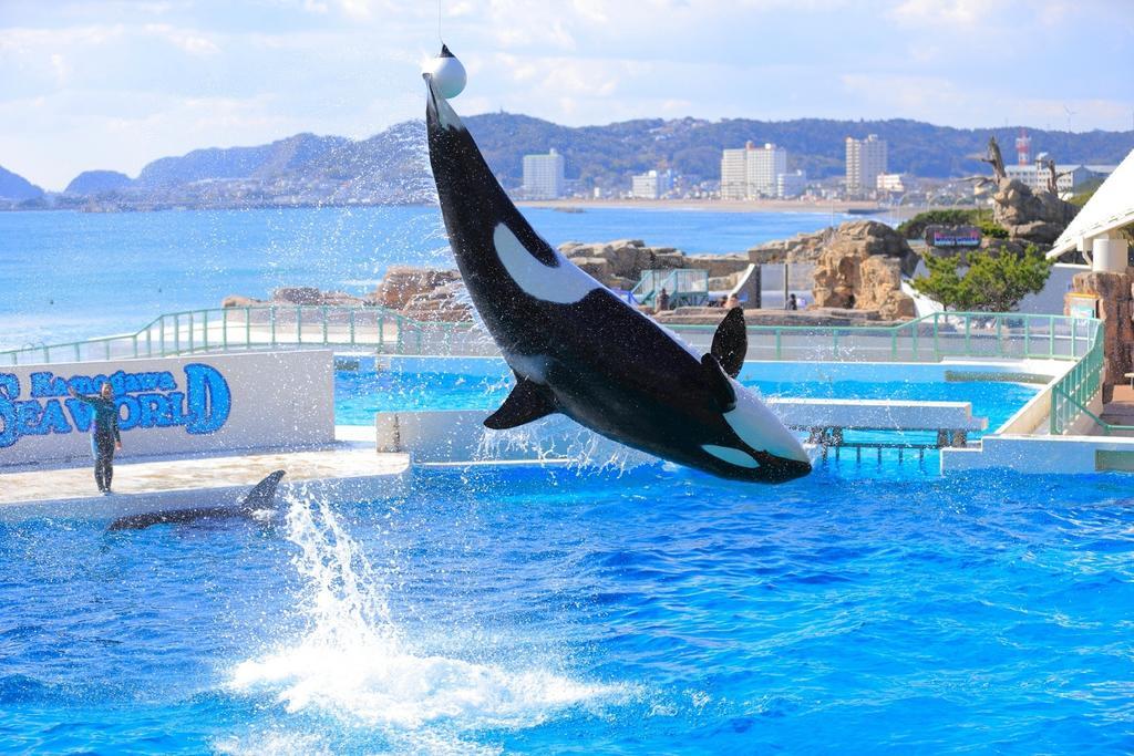 Kamogawa Sea World Hotel Exterior foto