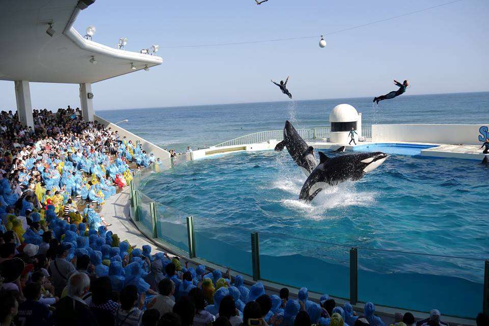 Kamogawa Sea World Hotel Facilidades foto